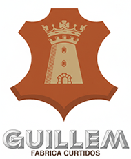 Casa Guillem